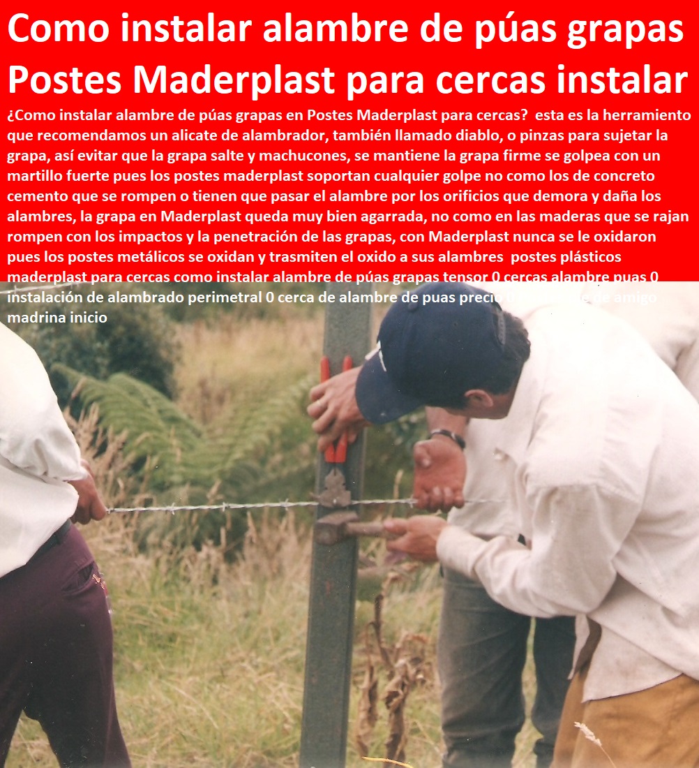 postes plásticos maderplast para cercas como instalar alambre de púas grapas tensor 0 cercas alambre puas 0 instalación de alambrado perimetral 0 cerca de alambre de puas precio 0 Postes pie de amigo madrina inicio postes plásticos maderplast para cercas como instalar alambre de púas grapas tensor 0 cercas alambre puas 0 instalación de alambrado perimetral 0 cerca de alambre de puas precio 0 Postes pie de amigo madrina inicio